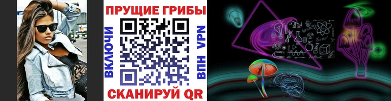 блэк спрут ссылки  Обнинск  Галлюциногенные грибы Cubensis 