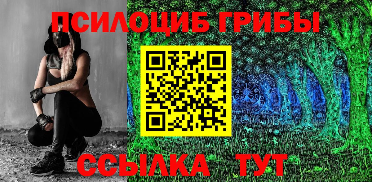 Галлюциногенные грибы мицелий Обнинск