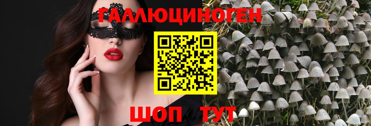 Обнинск  Галлюциногенные грибы мицелий  Галлюциногенные грибы Cubensis  Вход с VPN 